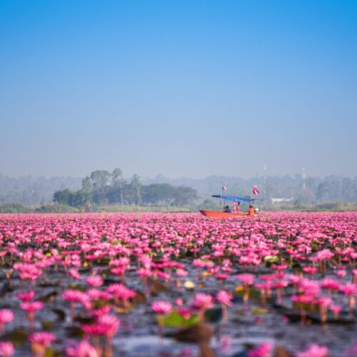 ทัวร์ในประเทศ