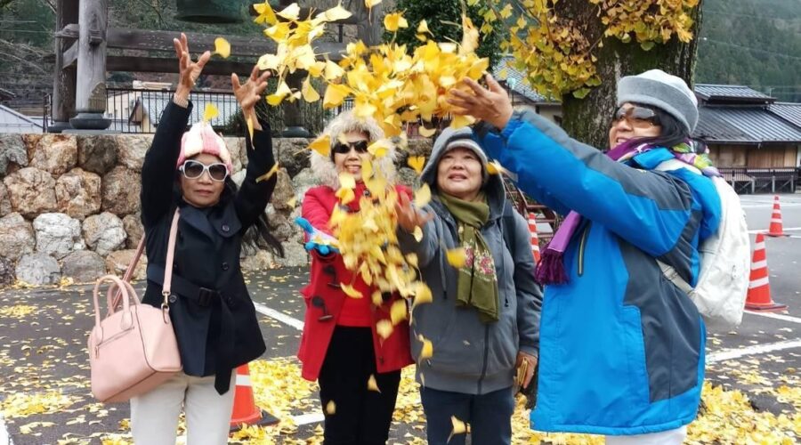 ทัวร์ ญี่ปุ่น