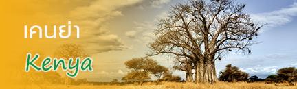 ทัวร์ เคนย่า