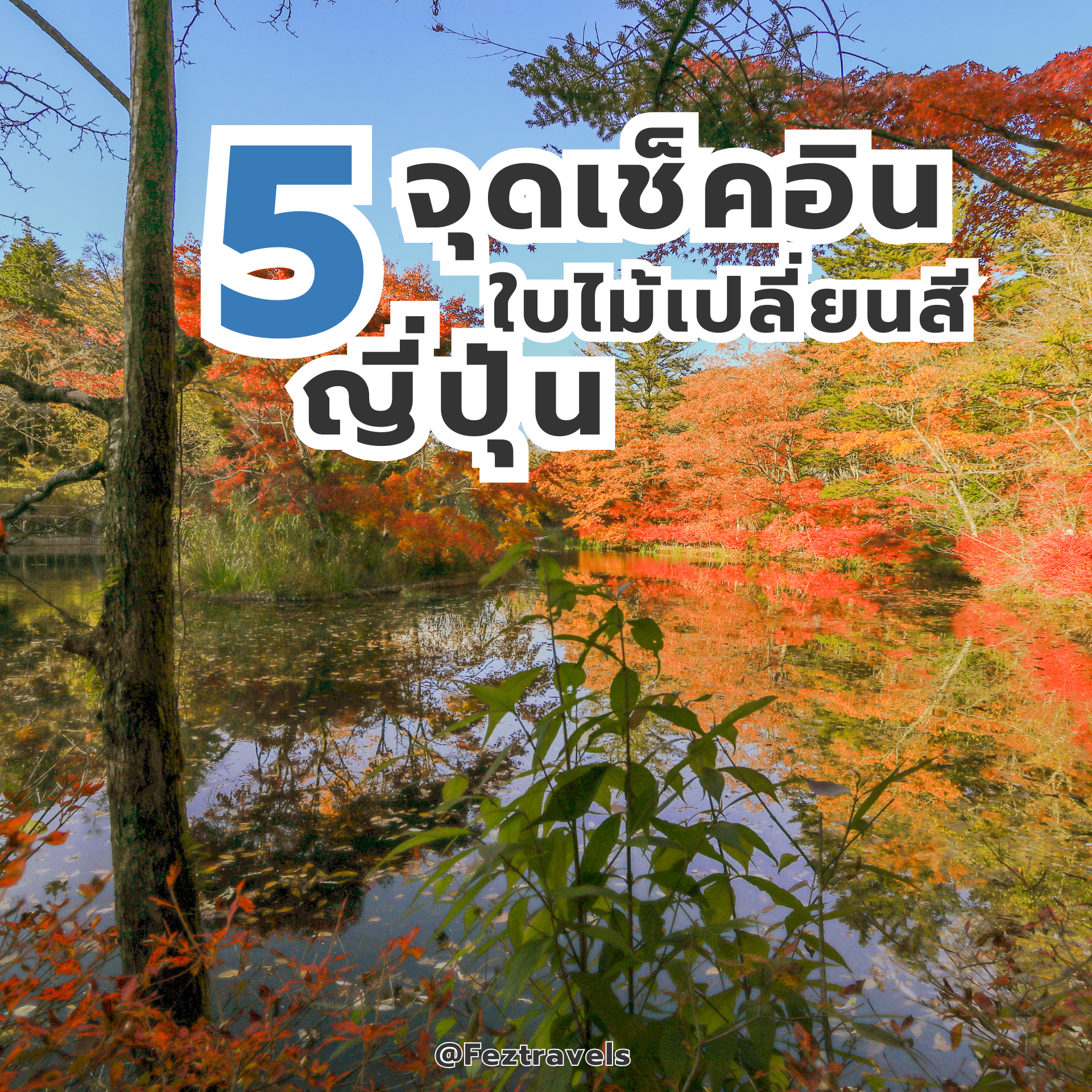 ใบไม้เปลี่ยนสี ใบไม้เปลี่ยนสี