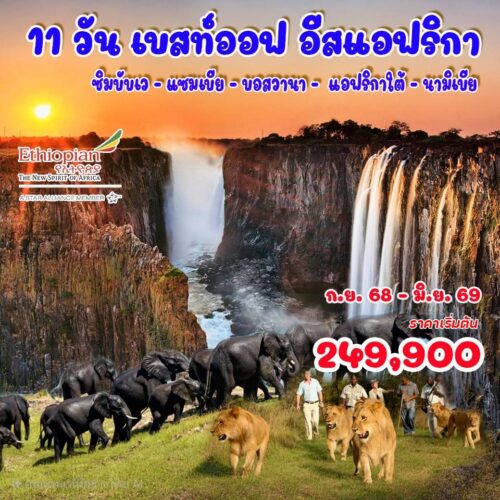 ทัวร์ แอฟริกา