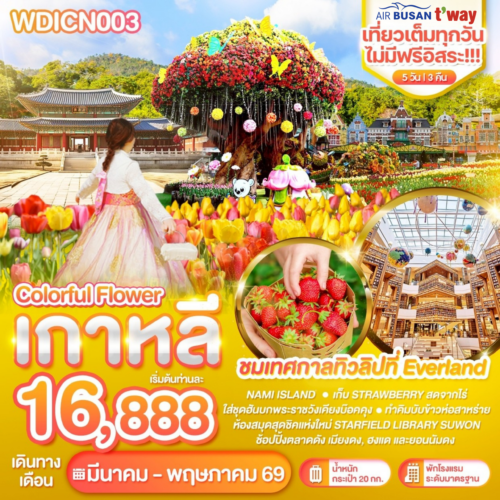 ทัวร์เกาหลี