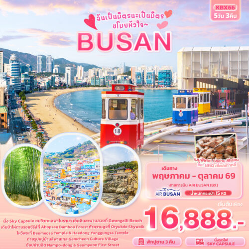 ทัวร์เกาหลี ปูซาน