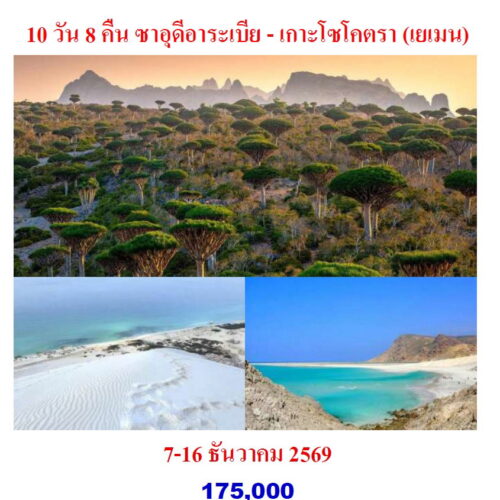 ทัวร์ ซาอุดิอาระเบีย