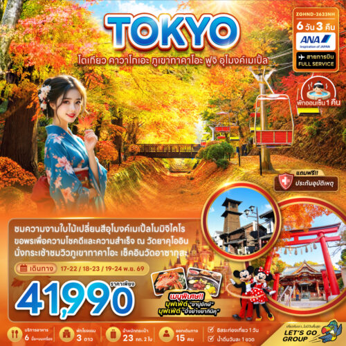 ทัวร์โตเกียว