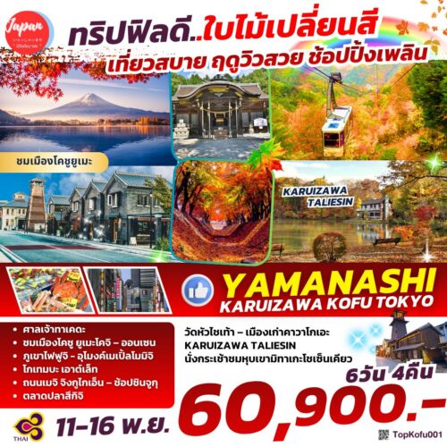 ทัวร์ ญี่ปุ่น โตเกียว