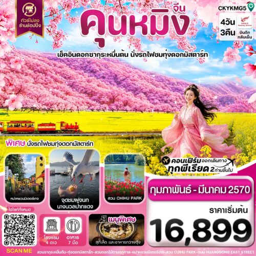 ทัวร์ จีน คุนหมิง